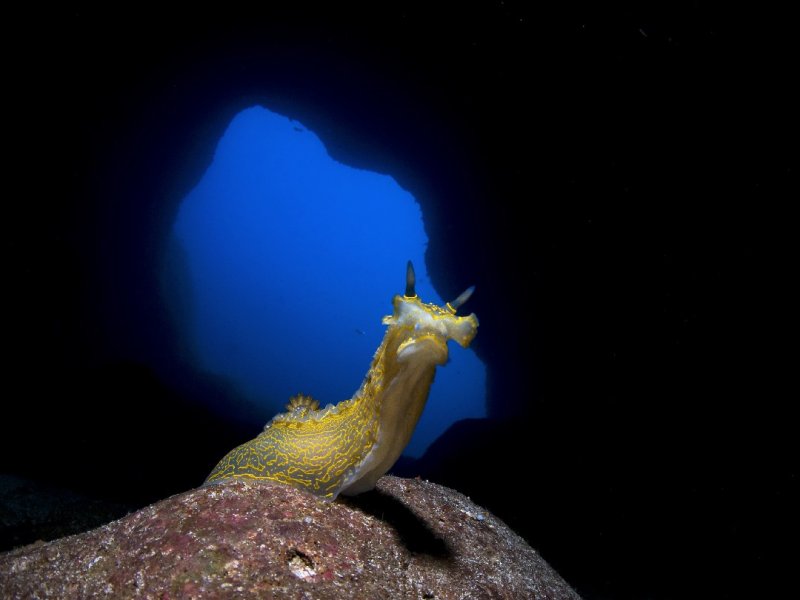 Divesite Image