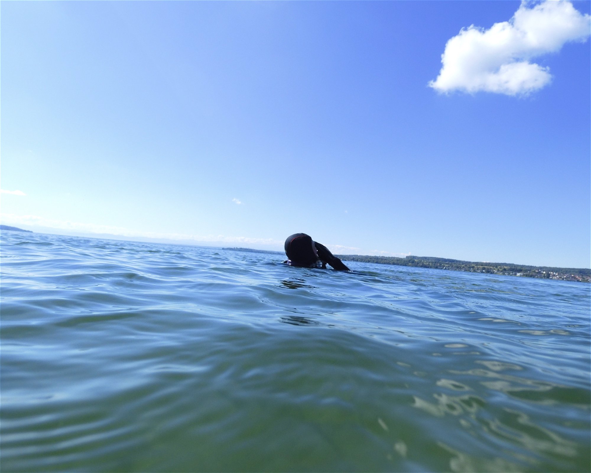 Watersports24, 88085 Langenargen