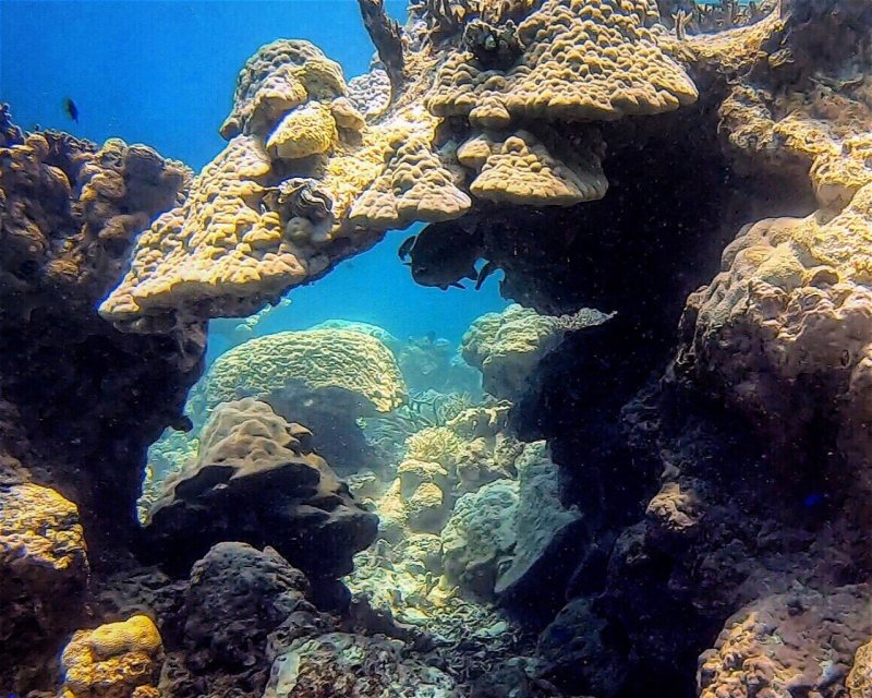 Divesite Image