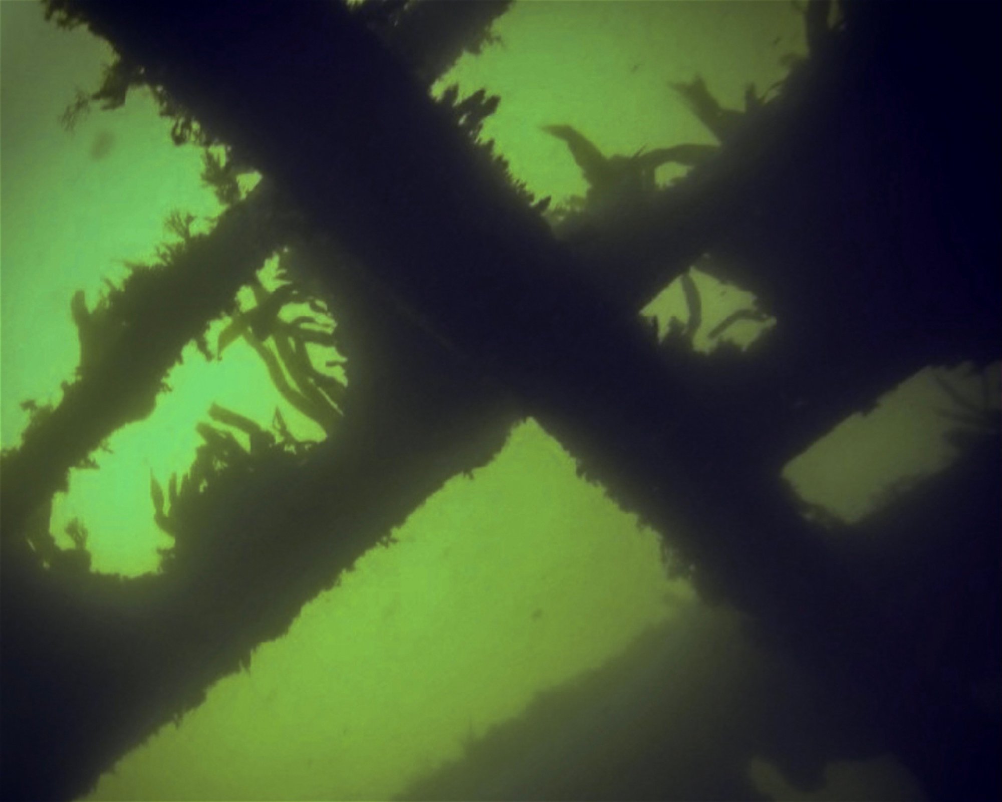 Sound Diving, PL9 7HJ Plymouth