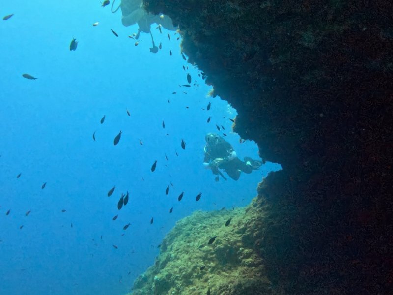 Divesite Image
