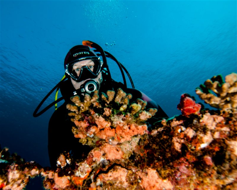 Divesite Image