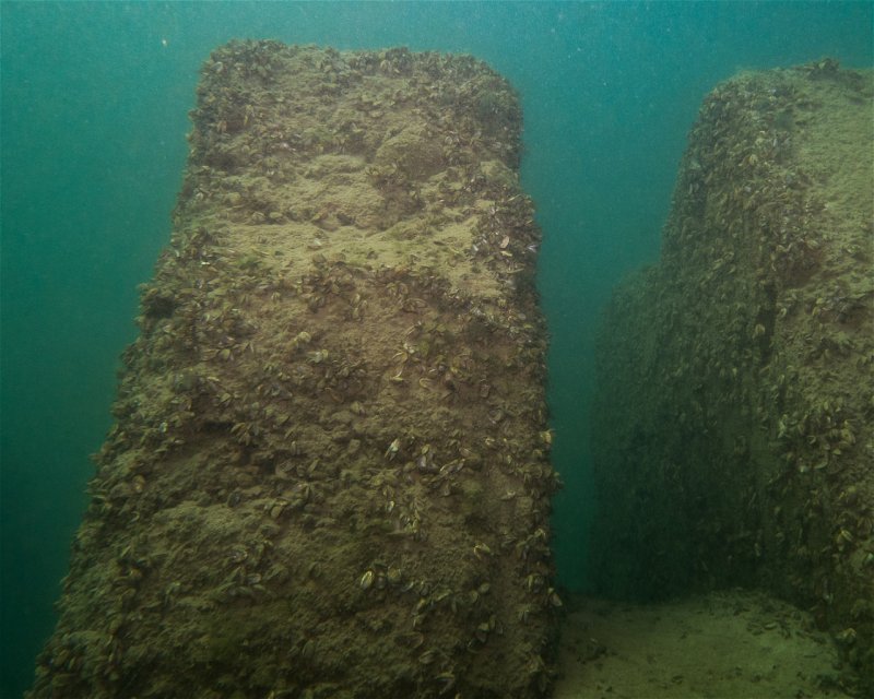 Divesite Image