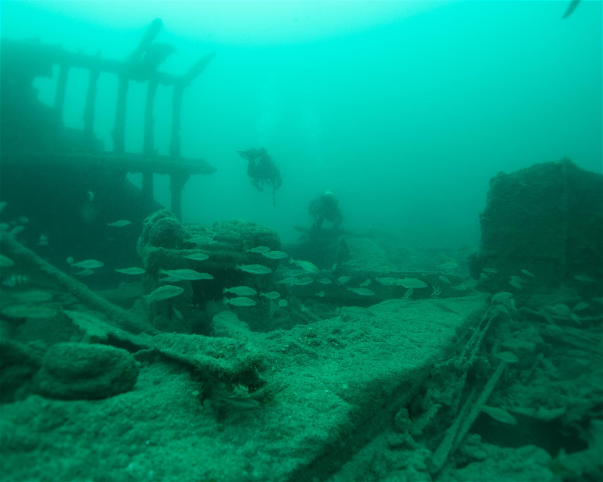 Dive Newquay Ltd, TR7 1BE NEWQUAY