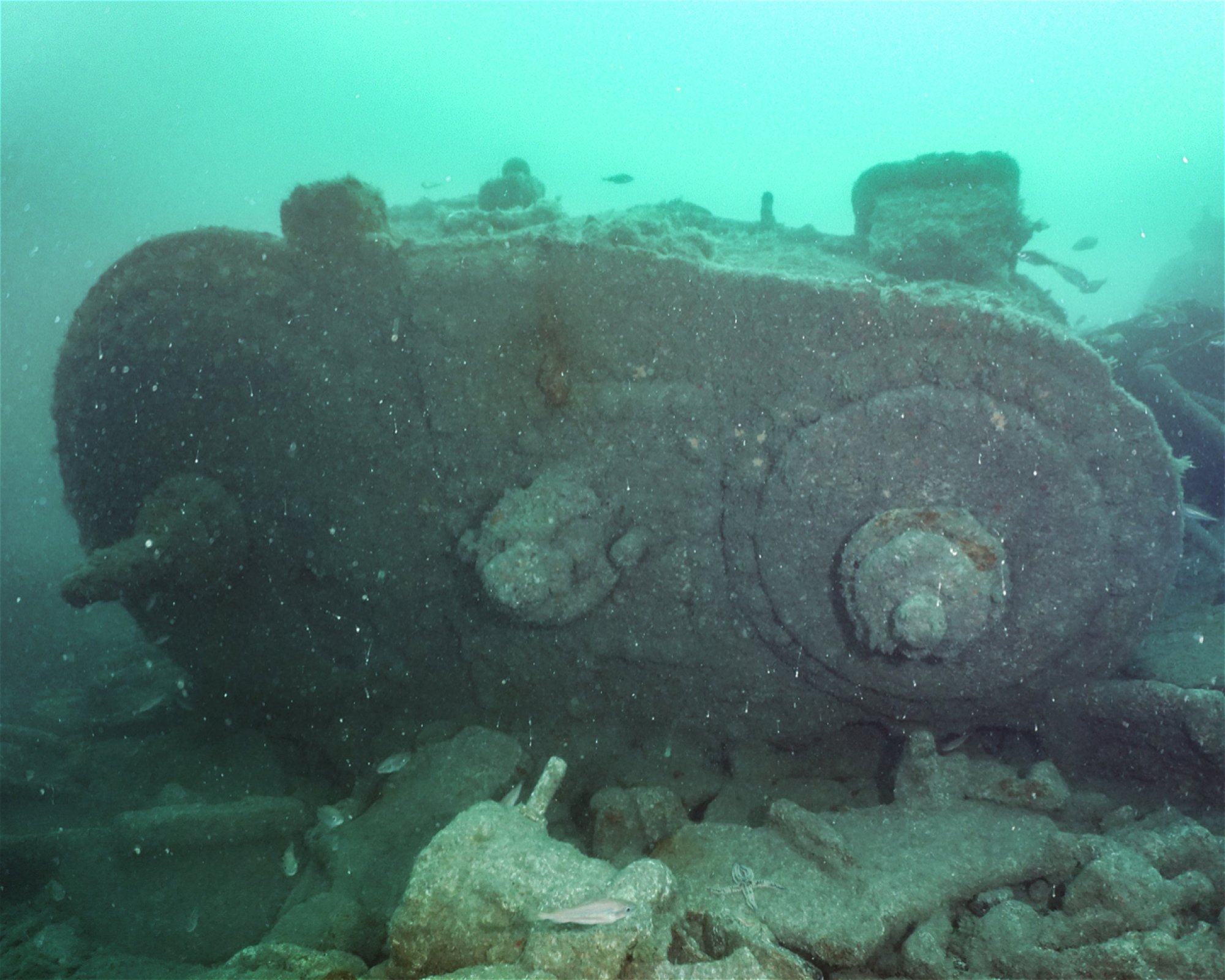 Dive Newquay Ltd, TR7 1BE NEWQUAY