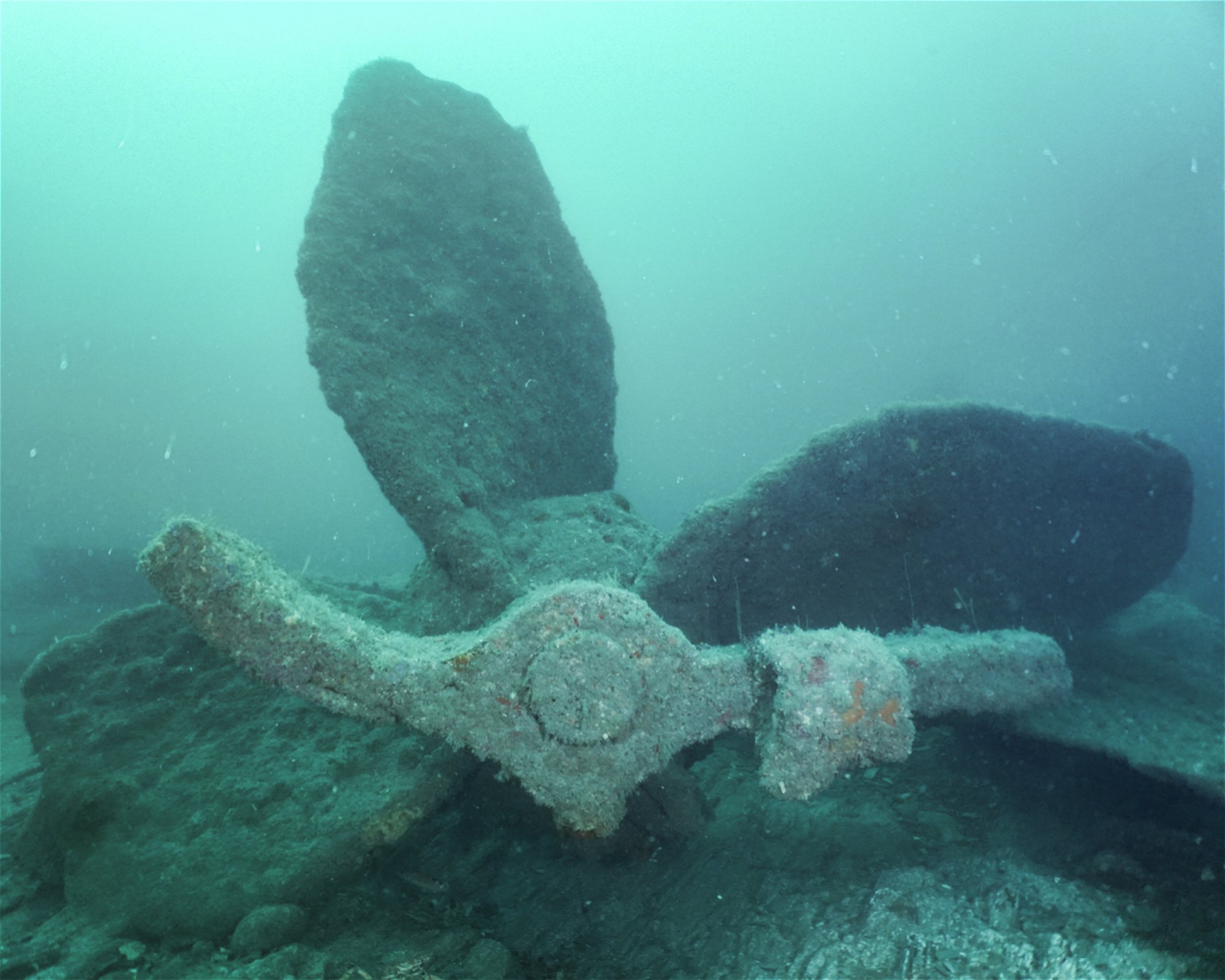 Dive Newquay Ltd, TR7 1BE NEWQUAY