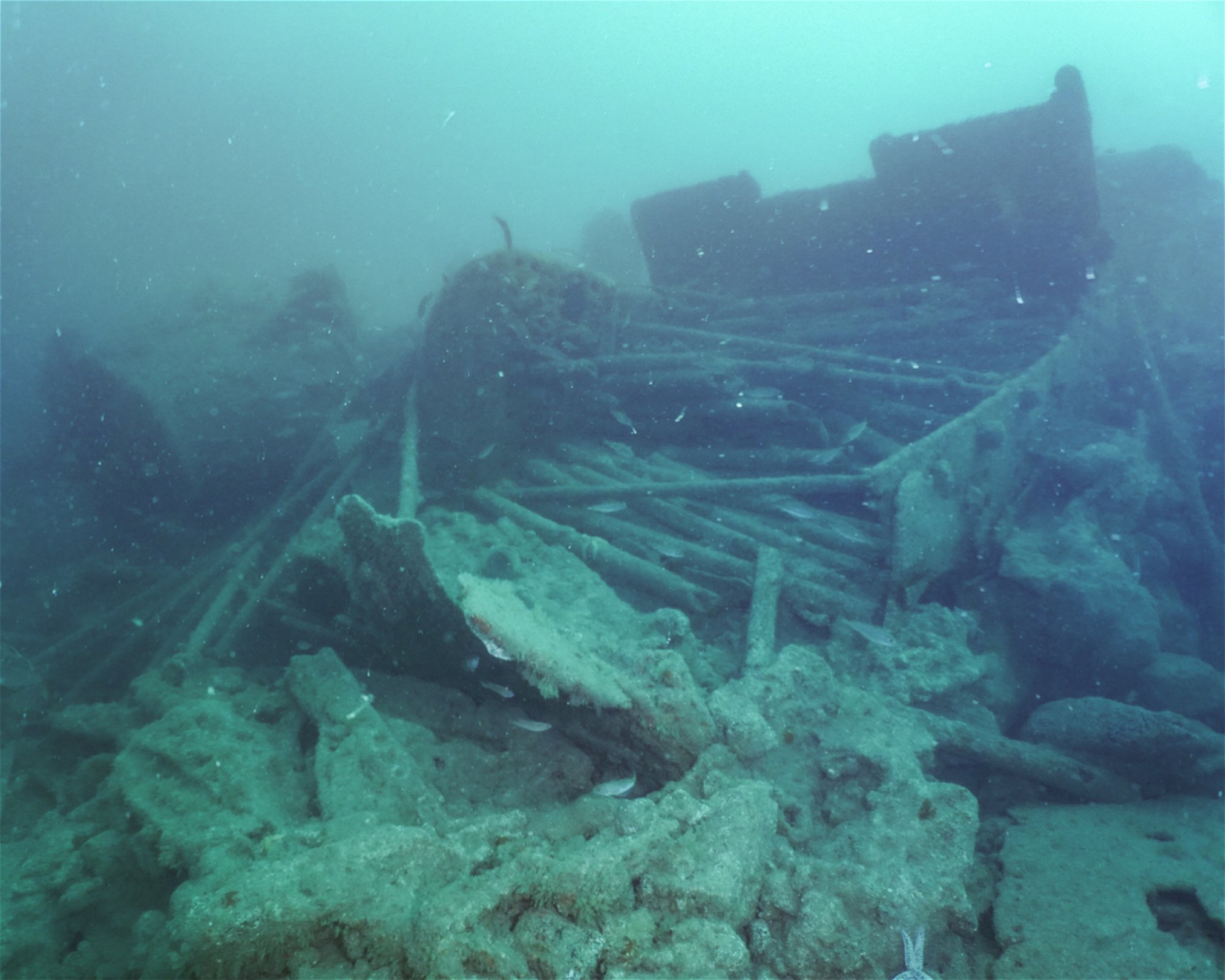 Dive Newquay Ltd, TR7 1BE NEWQUAY