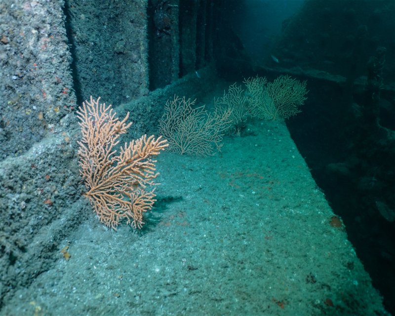 Divesite Image