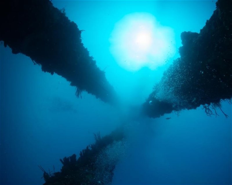 Divesite Image