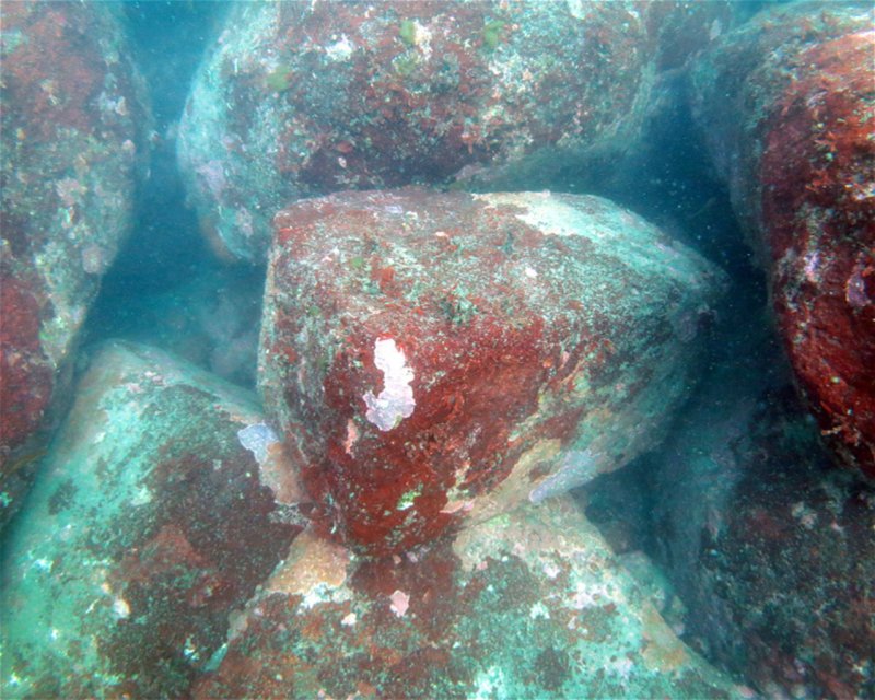 Divesite Image