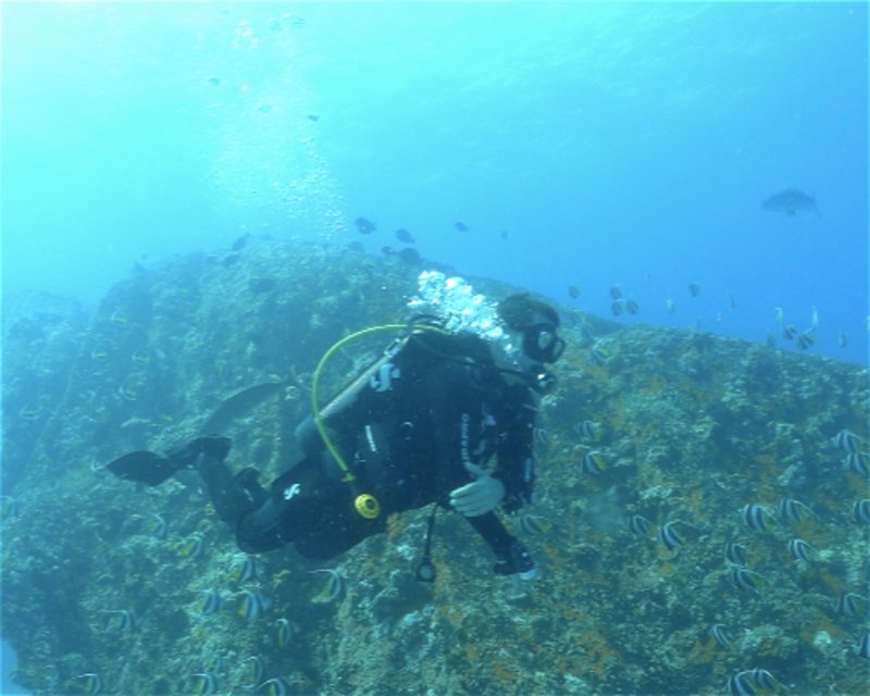 Divesite Image