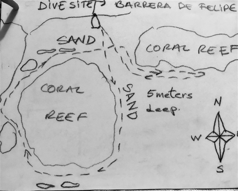 Divesite Image