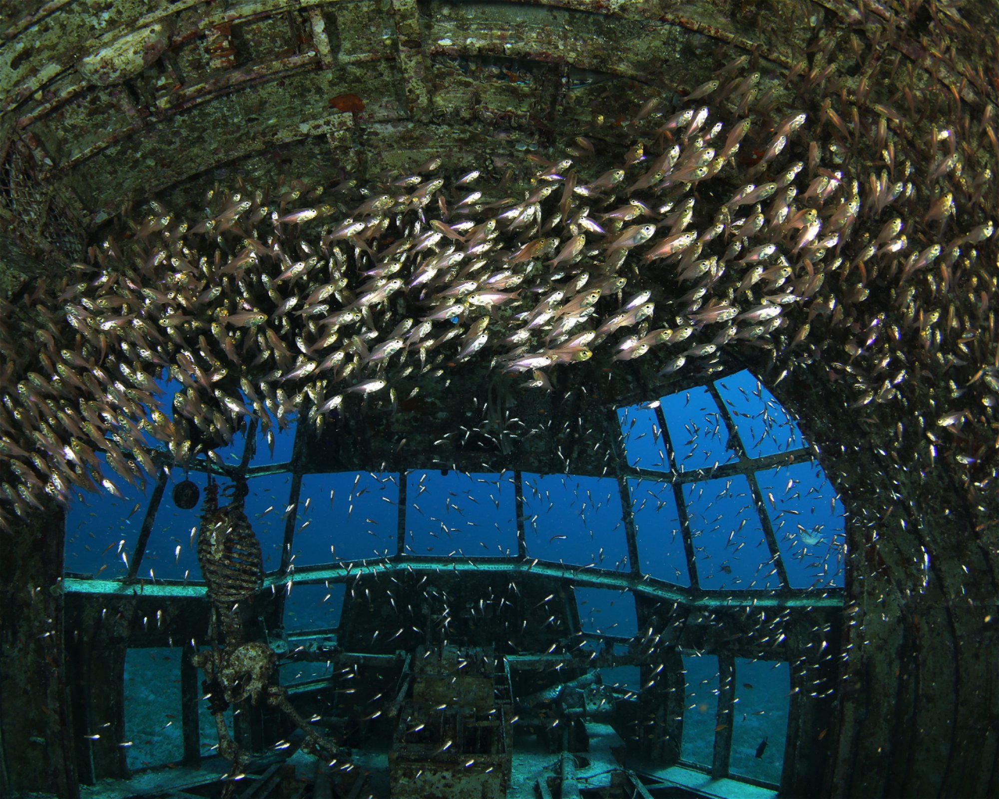 Sinai Divers Aqaba, 77110 Aqaba