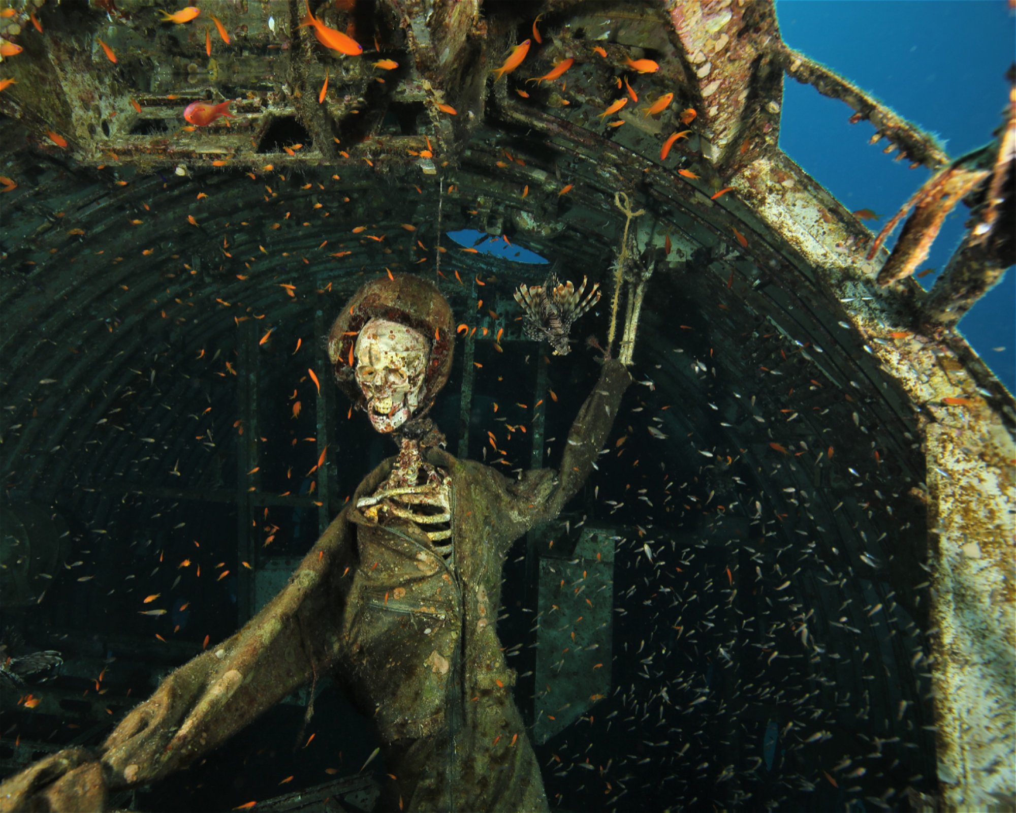 Sinai Divers Aqaba, 77110 Aqaba