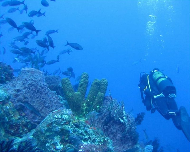 Divesite Image