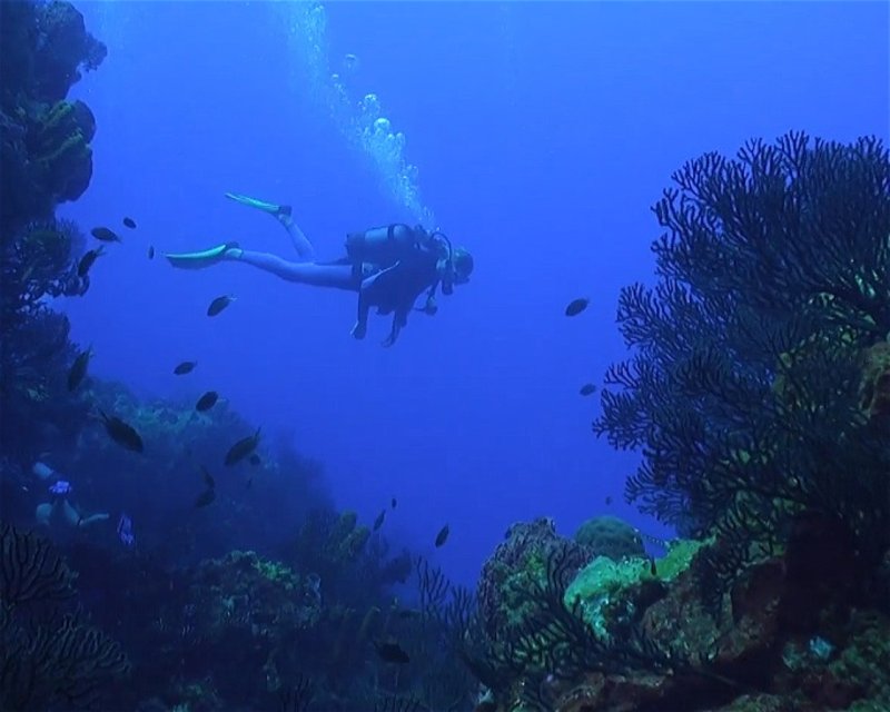 Divesite Image