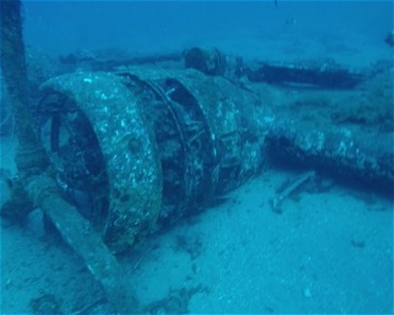 Divesite Image