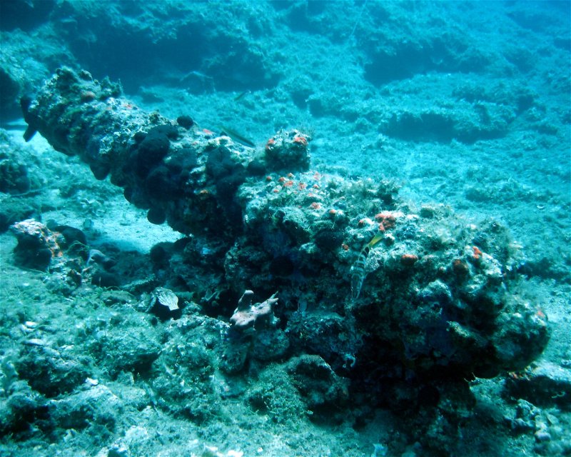 Divesite Image