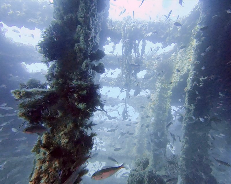 Divesite Image