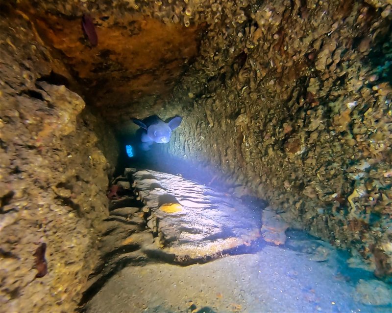 Divesite Image
