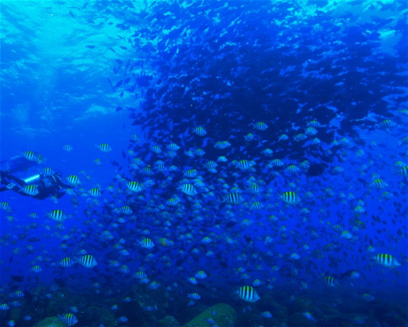 Divesite Image
