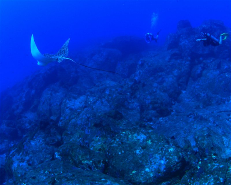Divesite Image