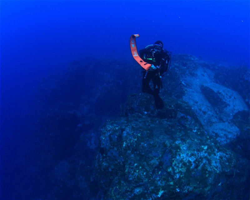 Divesite Image