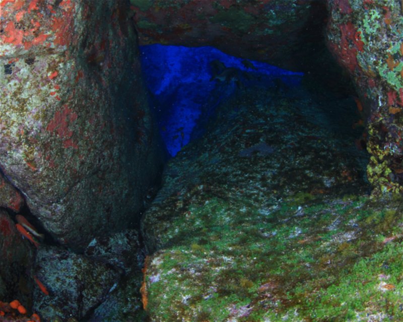Divesite Image