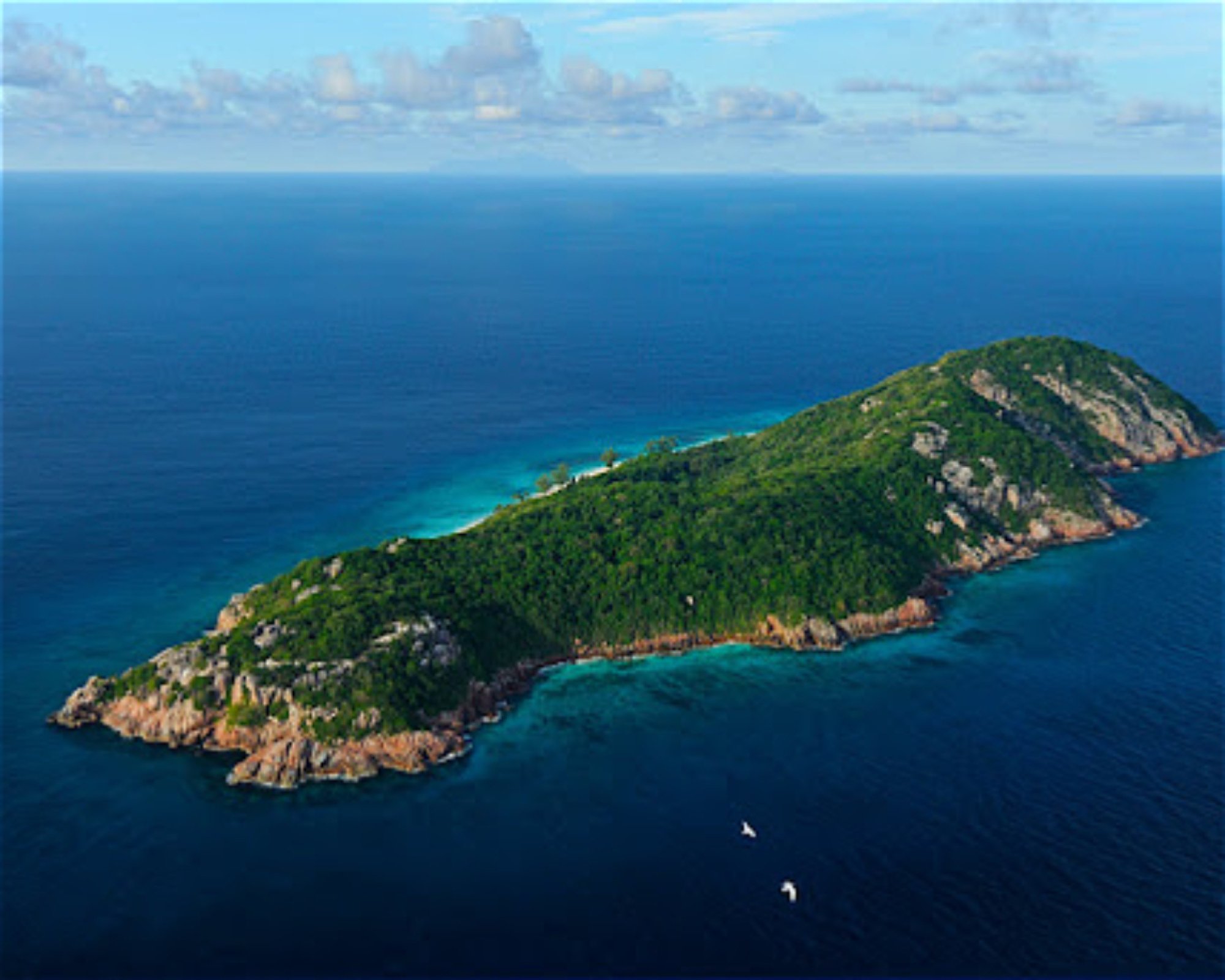 Whitetip Divers, 00000 PRASLIN