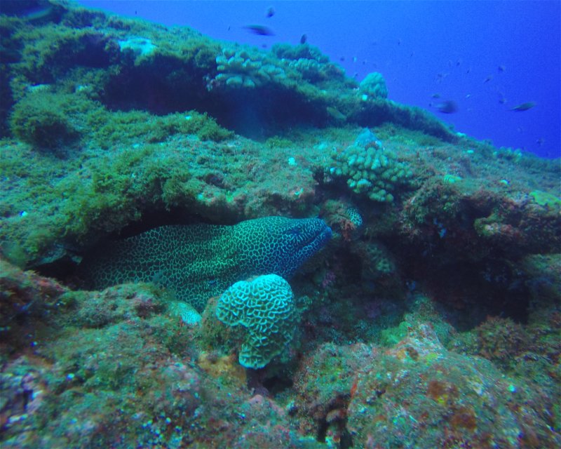 Divesite Image