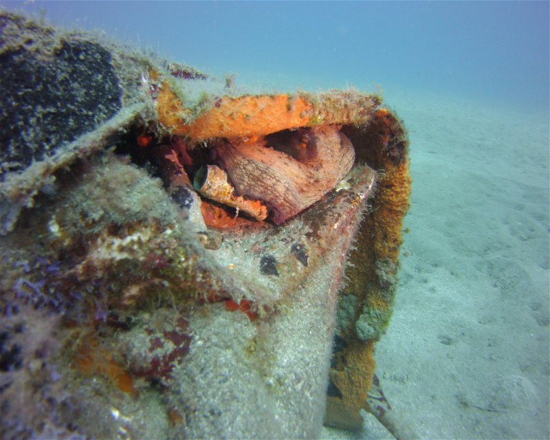 Divesite Image