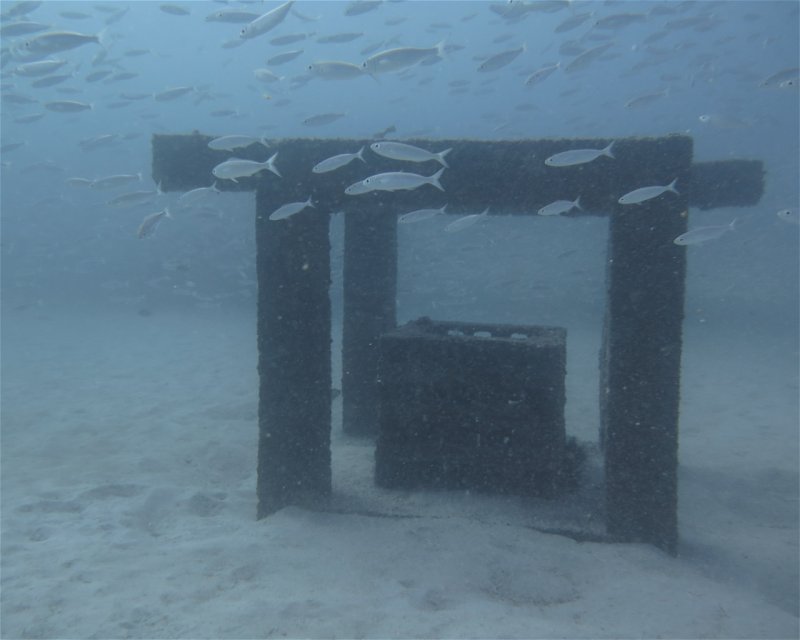 Divesite Image