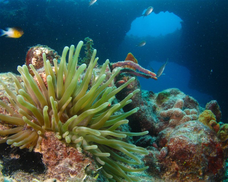 Divesite Image