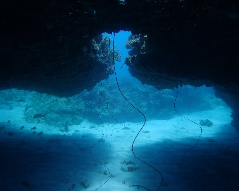Divesite Image