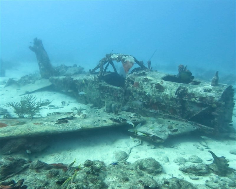 Divesite Image