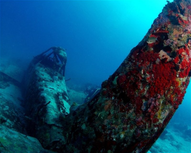 Divesite Image