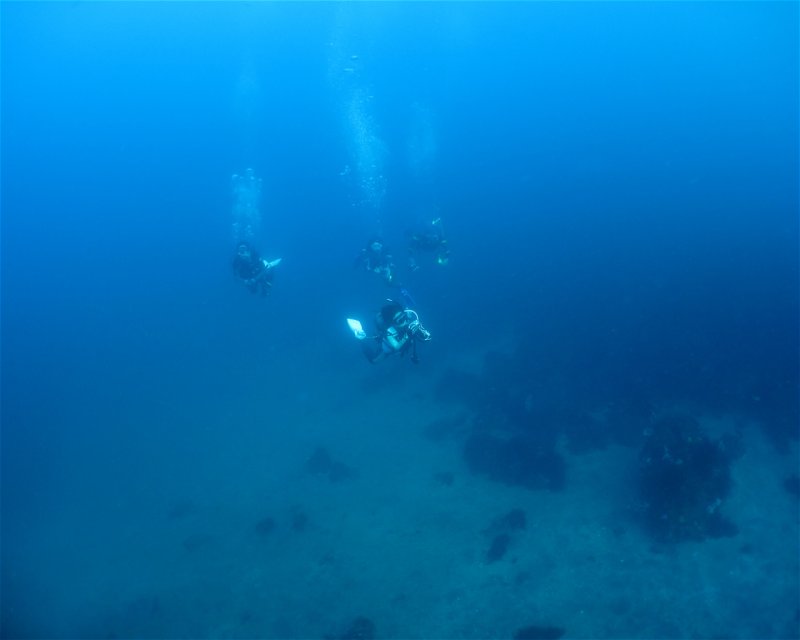 Divesite Image