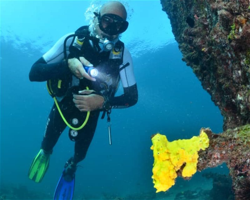 Divesite Image