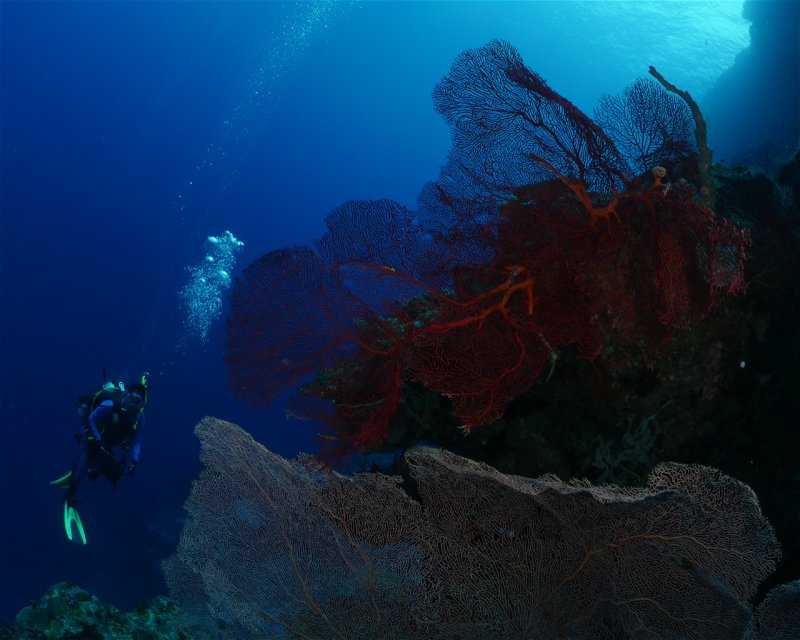 Divesite Image