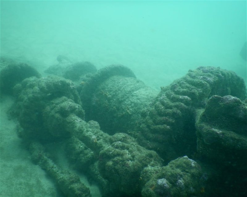 Divesite Image