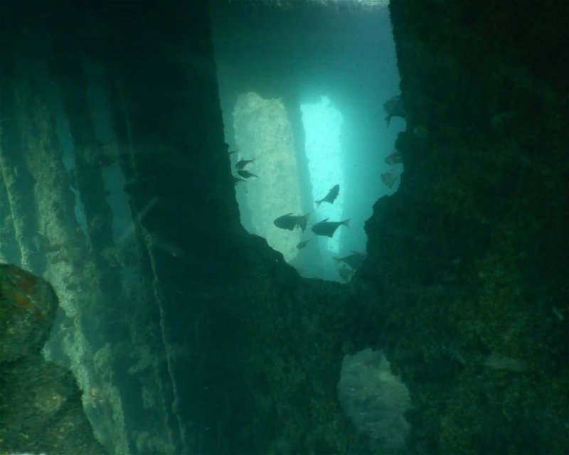Divesite Image