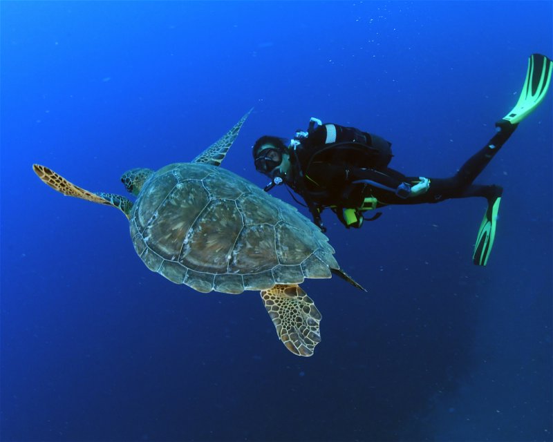 Divesite Image