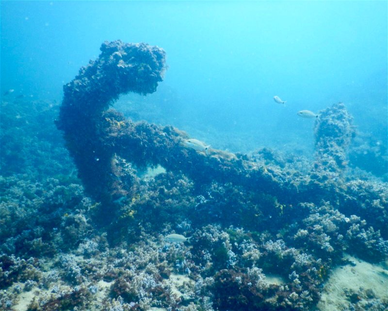 Divesite Image
