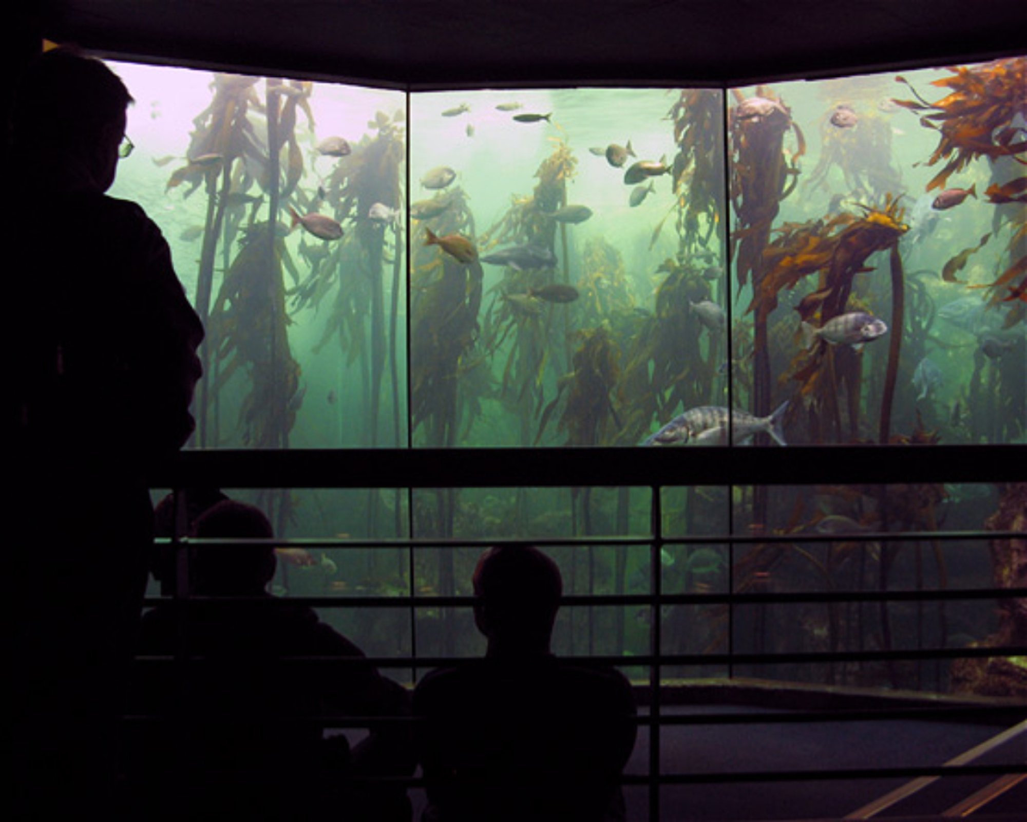 Pressure Junkies Scuba, 71457 Natchitoches