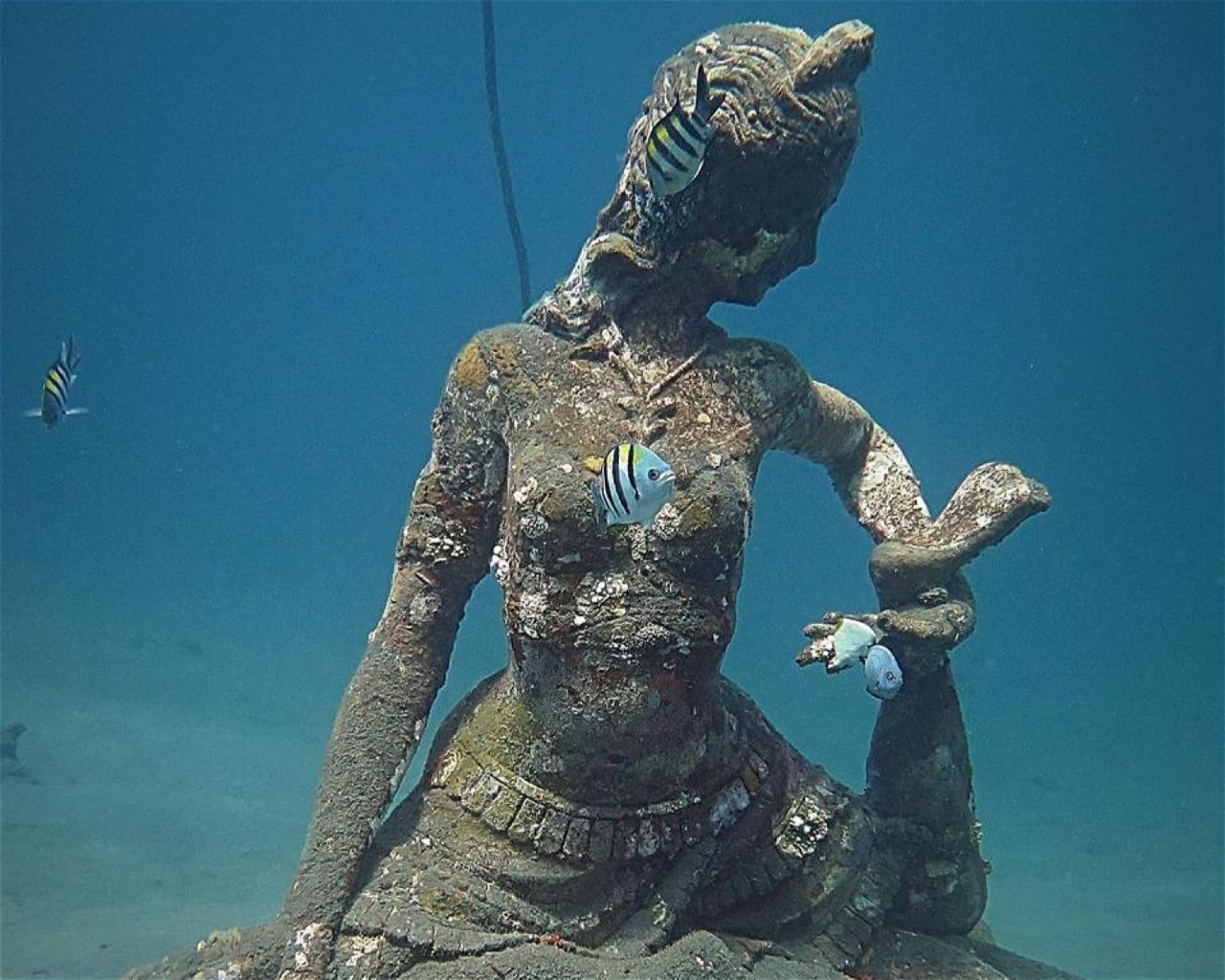 Amed Jepun Divers, 80852 Amed, Karangasem