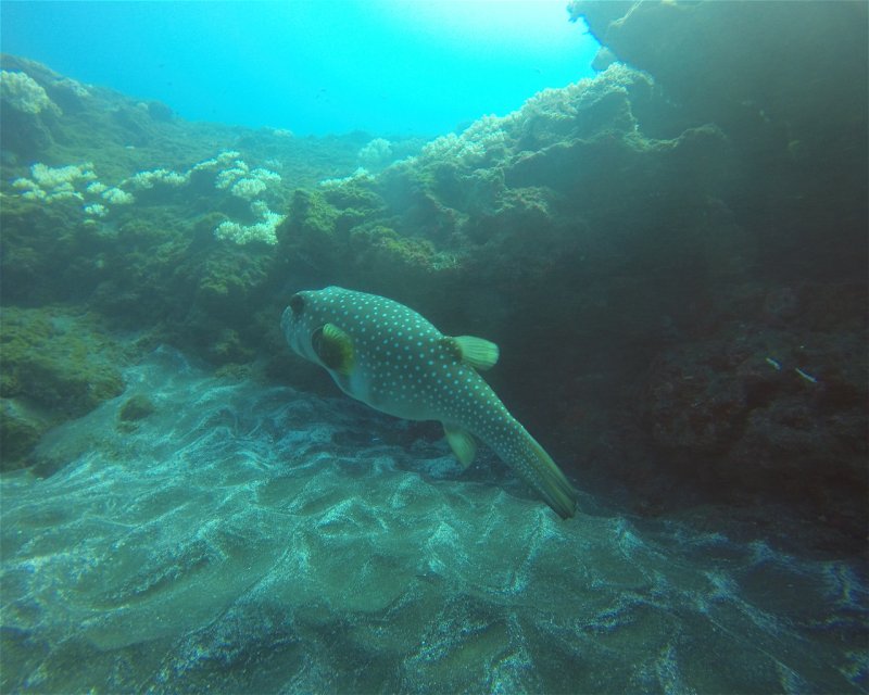 Divesite Image