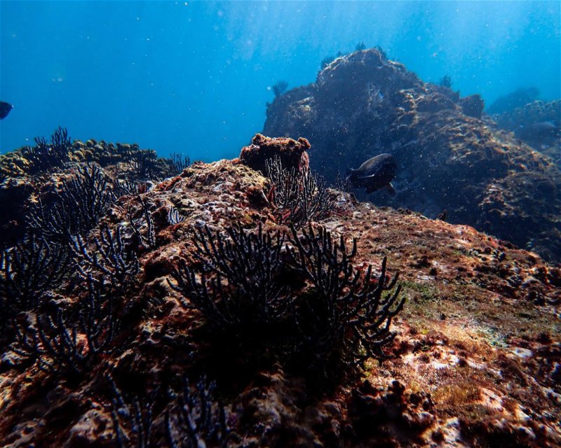 Divesite Image
