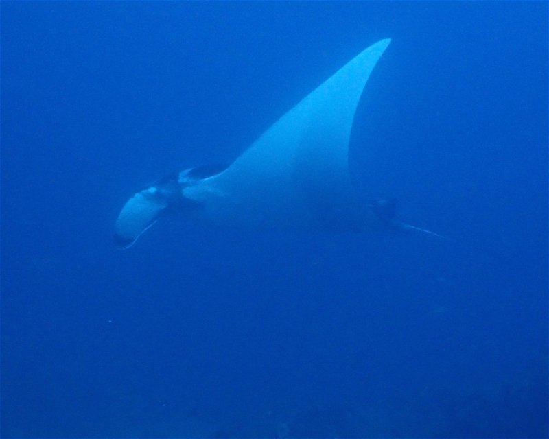 Divesite Image