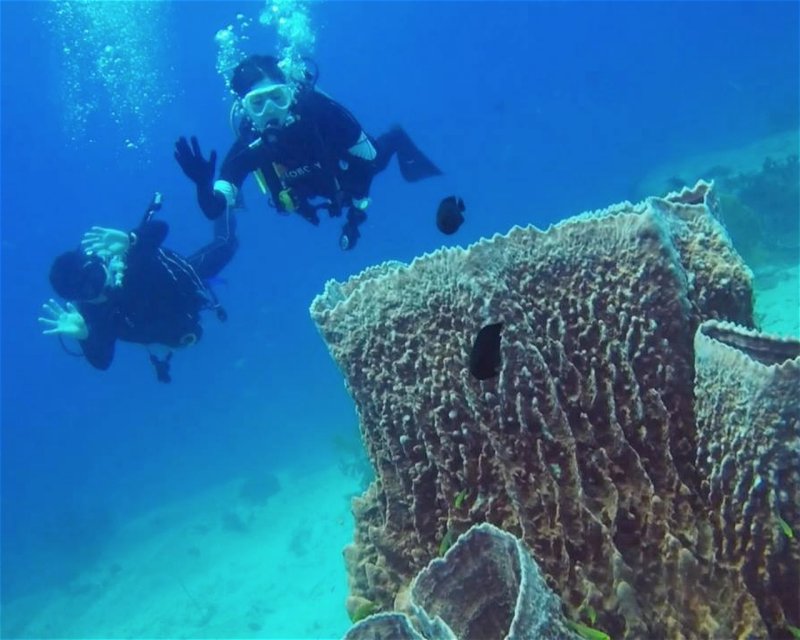 Divesite Image
