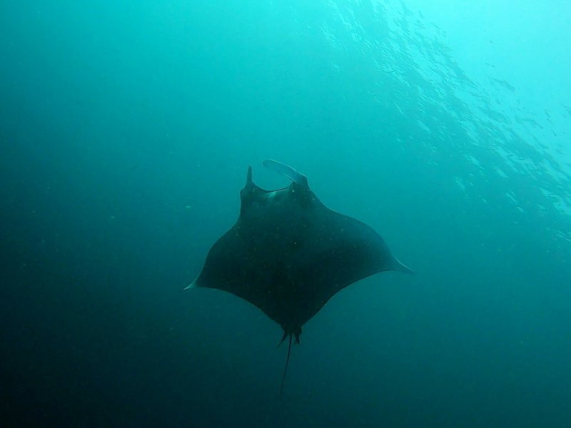 Divesite Image